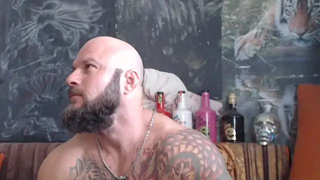 viking 30 online show from 27, 9, 2025