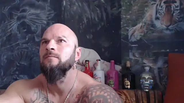 viking 30 online show from 12, 11, 2025