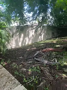 Snapshot of JohnnyBigShot chatting on 28, 9, 2025 JohnnyBigShot online show from 28, 9, 2025