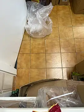 Mindnorthcam2 online show from 16, 2, 2026