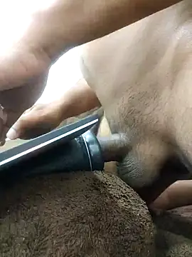 indianbulldelhi online show from 27, 1, 2025