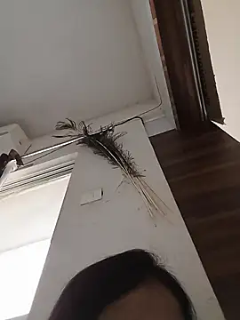 Snapshot of Manjushri35 chatting on 14, 2, 2025 Manjushri35 online show from 14, 2, 2025