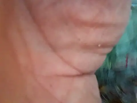 Payaso53 online show from 11, 4, 2026