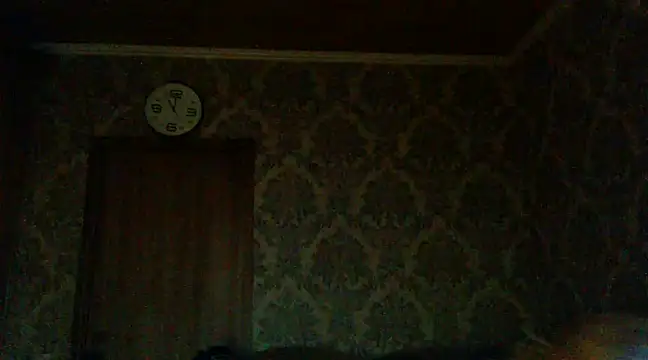 Snapshot of WildMissNiks chatting on 2, 12, 2024 WildMissNiks online show from 2, 12, 2024