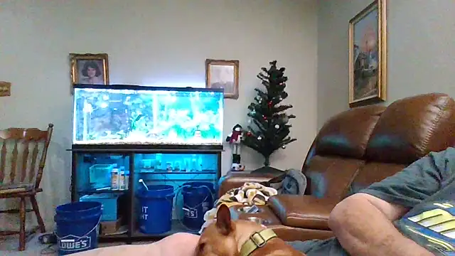 Snapshot of 1964peterbilt1 chatting on 30, 12, 2024 1964peterbilt1 online show from 30, 12, 2024