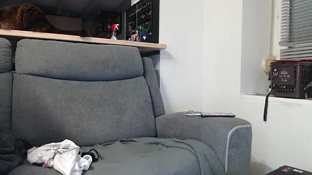 missthon0 online show from 18, 1, 2026