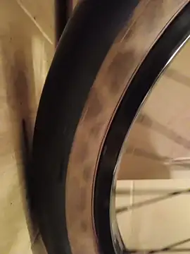 FireFox Feel online show from 9, 12, 2024