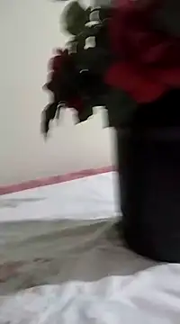 Snapshot of catdool chatting on 23, 1, 2025 catdool online show from 23, 1, 2025