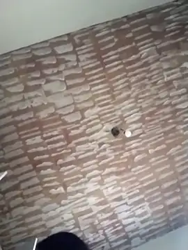 Snapshot of catdool chatting on 20, 2, 2025 catdool online show from 20, 2, 2025