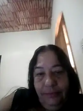 catdool online show from 11, 11, 2025