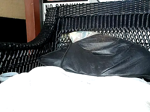 Snapshot of HungHawaiian808@xh chatting on 16, 12, 2024 HungHawaiian808xh online show from 16, 12, 2024