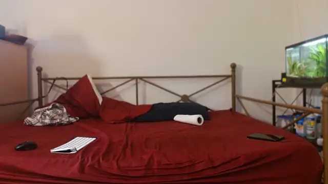 Dragonnycxh online show from 21, 2, 2026