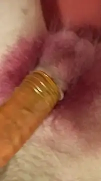 Snapshot of DerWeisser chatting on 3, 2, 2025 DerWeisser online show from 3, 2, 2025