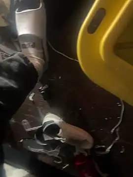 Snapshot of Exclusivenutxxx chatting on 23, 1, 2025 Exclusivenutxxx online show from 23, 1, 2025