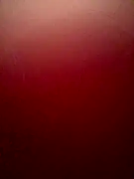 Snapshot of sweetAli_ chatting on 4, 10, 2025 sweetAli online show from 4, 10, 2025