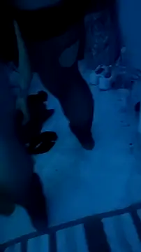 Misspadrona88 online show from 13, 12, 2025