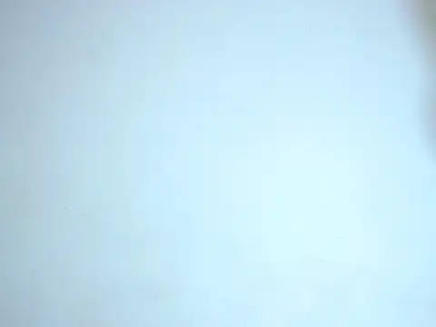 ares sexxx online show from 24, 12, 2024