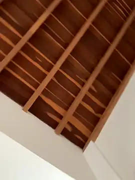 curchez  online show from 7, 1, 2026