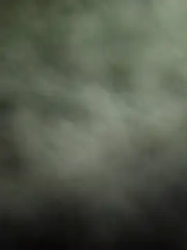 Prince R9 online show from 22, 1, 2025