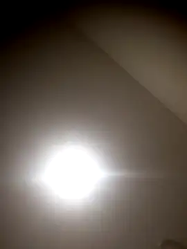 sua sub  online show from 5, 11, 2025