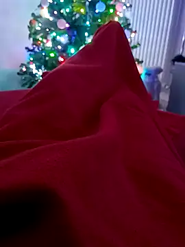 Snapshot of Markus_bst chatting on 23, 12, 2024 Markus bst online show from 23, 12, 2024