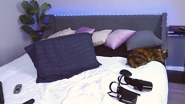 Snapshot of EvaMoses chatting on 28, 2, 2025 EvaMoses online show from 28, 2, 2025