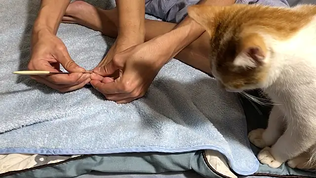 Snapshot of RiderFloor chatting on 8, 2, 2026 RiderFloor online show from 8, 2, 2026