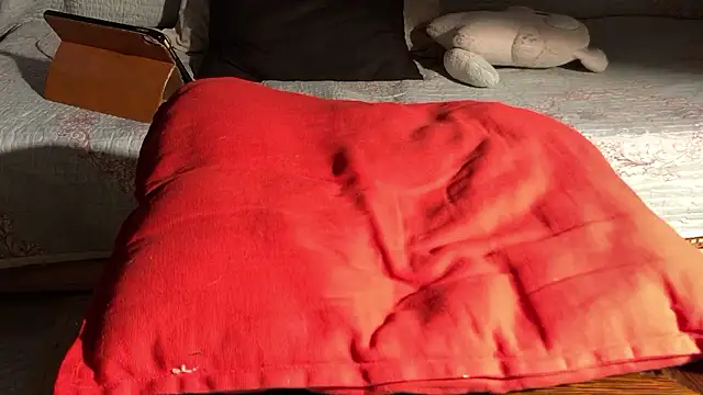 Snapshot of RiderFloor chatting on 17, 4, 2026 RiderFloor online show from 17, 4, 2026