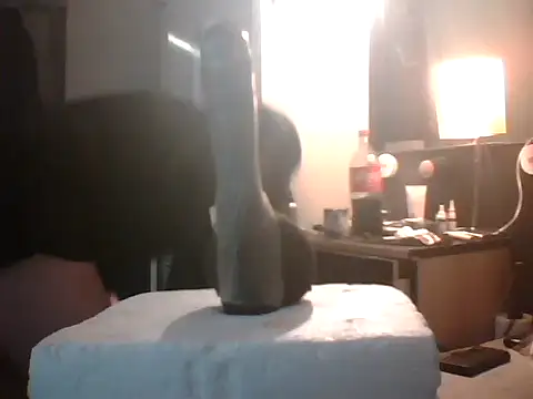 slutviki online show from 10, 1, 2026