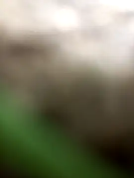 FinableKnee online show from 6, 10, 2025