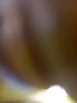 FinableKnee online show from 6, 1, 2026