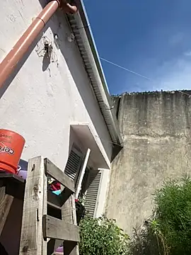 Alicbranca online show from 26, 2, 2026