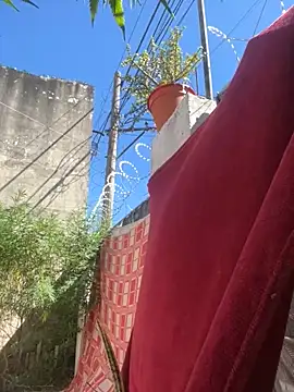 Snapshot of Alicbranca chatting on 15, 3, 2026 Alicbranca online show from 15, 3, 2026