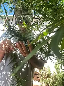 Snapshot of Alicbranca chatting on 22, 3, 2026 Alicbranca online show from 22, 3, 2026