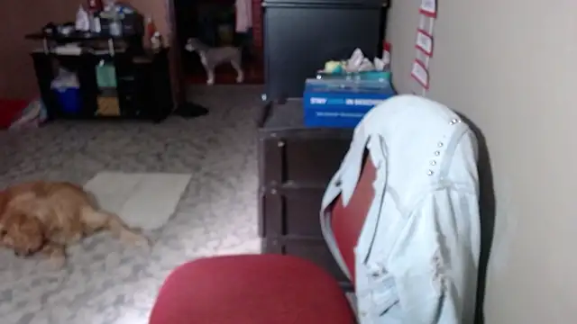 Barbiegomez online show from 17, 3, 2026