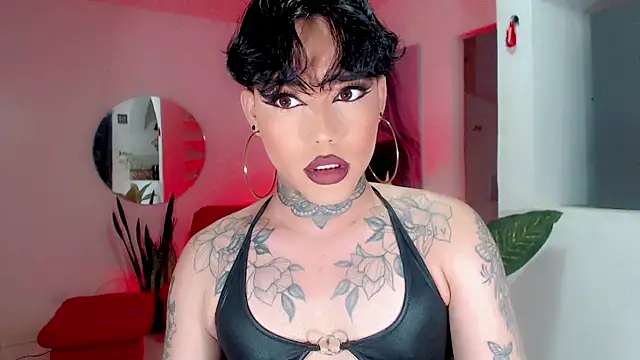 little star porn online show from 27, 11, 2025