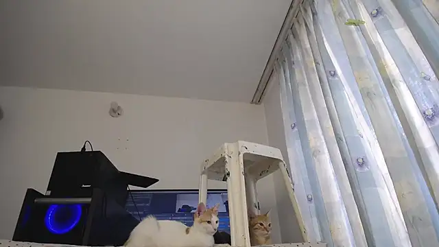 eolicasex online show from 7, 3, 2025