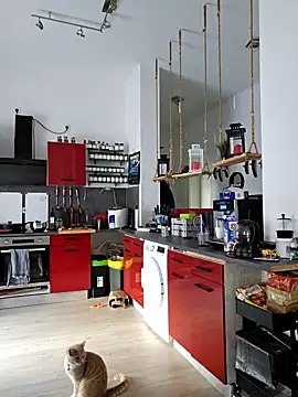 Trucker Hunter online show from 15, 3, 2025