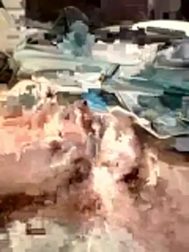 420pussylickr online show from 8, 2, 2026