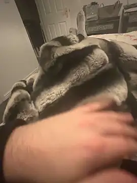 Furdale online show from 7, 12, 2024