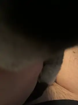 Furdale online show from 16, 12, 2024