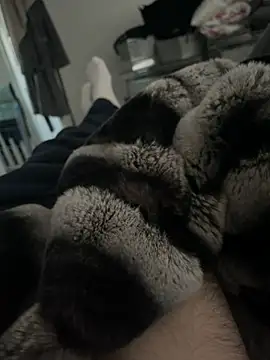 Furdale online show from 18, 12, 2024