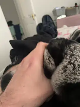 Furdale online show from 19, 12, 2024