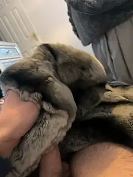 Furdale online show from 3, 1, 2025