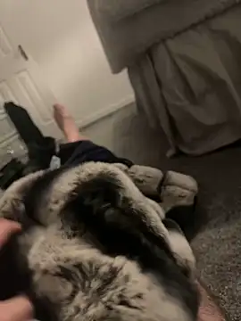 Furdale online show from 6, 1, 2025