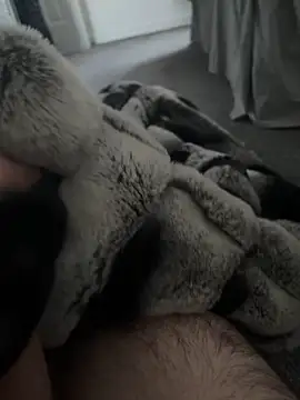 Furdale online show from 7, 1, 2025