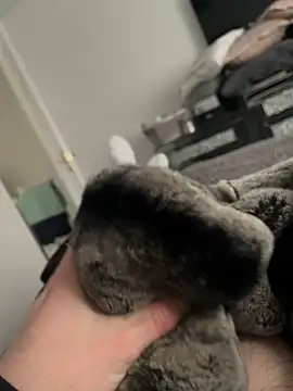 Furdale online show from 10, 2, 2025