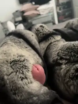 Furdale online show from 26, 2, 2025