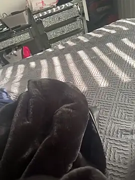 Furdale online show from 8, 3, 2025