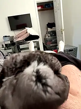 Furdale online show from 25, 9, 2025